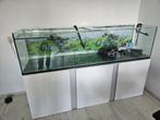 aquarium met onderkast 200x50x50, Dieren en Toebehoren, Vissen | Aquaria en Toebehoren, Ophalen, Gebruikt, Leeg aquarium