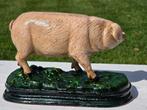 VARKEN / GIETIJZER, Ophalen of Verzenden, Nieuw, Boerderijdier, Beeldje of Figuurtje