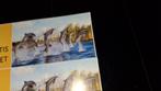 1 geatis ticket dolfinarium bij 3, Eén persoon, Overige soorten, Overige typen