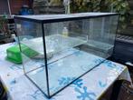 Terrarium 100x40x50, Dieren en Toebehoren, Knaagdieren en Konijnen | Hokken en Kooien, Kooi, Hamster, Zo goed als nieuw, 75 tot 110 cm