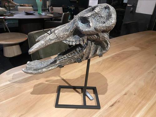 Skull polyresin 48 cm hoog op standaard ptmd, Antiek en Kunst, Kunst | Designobjecten, Ophalen