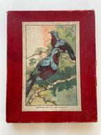 Antieke legpuzzel vogels met 6 puzzelplaten, Antiek en Kunst, Antiek | Speelgoed, Ophalen of Verzenden