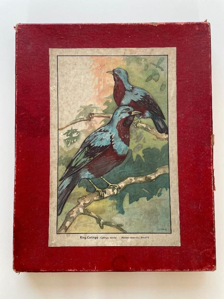 Antieke legpuzzel vogels met 6 puzzelplaten, Antiek en Kunst, Antiek | Speelgoed, Ophalen of Verzenden