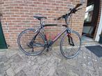 pinarello racefiets fp5 carbon / onda / shimano, 28 inch, Gebruikt, Carbon, 10 tot 15 versnellingen