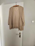 Linnen vestje expresso maat xxl, Kleding | Dames, Expresso, Beige, Maat 46/48 (XL) of groter, Ophalen of Verzenden