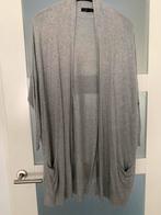 Grijs vest Atmosphere maat 40, Kleding | Dames, Ophalen of Verzenden, Gedragen, Maat 38/40 (M), Grijs
