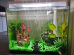 Aquarium 40 L SuperFish, Dieren en Toebehoren, Vissen | Aquaria en Toebehoren, Ophalen, Gebruikt, Verlichting of Verwarming