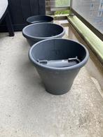 Plant pots, Tuin en Terras, Planten | Tuinplanten, Ophalen, Zomer, Overige soorten, Volle zon