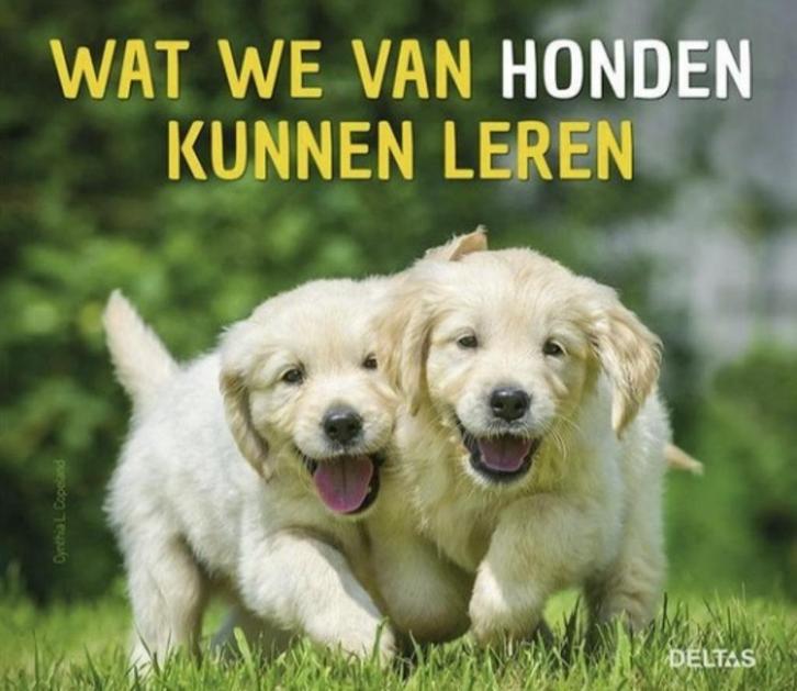 Wat we van honden kunnen leren, Cynthia-L. Copeland, Boeken, Dieren en Huisdieren, Zo goed als nieuw, Honden, Verzenden
