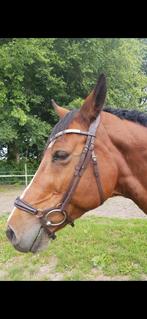 Prachtig bruin Equibridle anatomisch hoofdstel full, Ophalen of Verzenden, Zo goed als nieuw, Dressuur