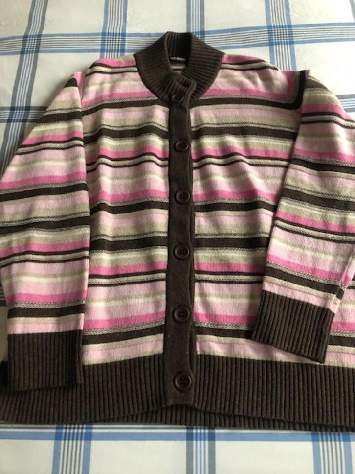 vest dames Gollehaug 46 merino wol cashmere viscose  ZGAN, Kleding | Dames, Truien en Vesten, Zo goed als nieuw, Maat 46/48 (XL) of groter