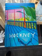 HOCKNEY Bigger Book TASCHEN, Gelezen, Taschen, Ophalen of Verzenden, Schilder- en Tekenkunst
