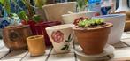bloempotten, bloem potten, Gebruikt, Rond, Binnen, Ophalen of Verzenden