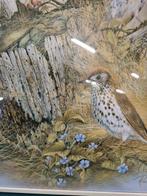 schilderij prent vogels ruane manning, Ophalen of Verzenden