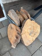 8 Boomstam Schijven - Decoratief Hout, Tuin en Terras, Haardhout, Minder dan 3 m³, Ophalen, Overige houtsoorten, Stammen