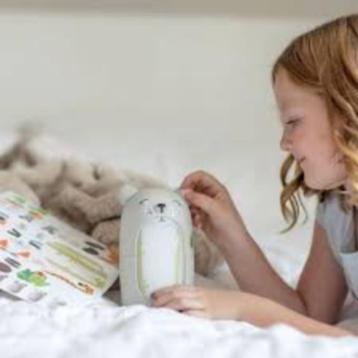 mooie, leuke accessoires voor essentiële oliën beschikbaar voor biedingen