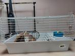 Cavia hok met toebehoren., Ophalen of Verzenden, Hok, Cavia, Minder dan 60 cm