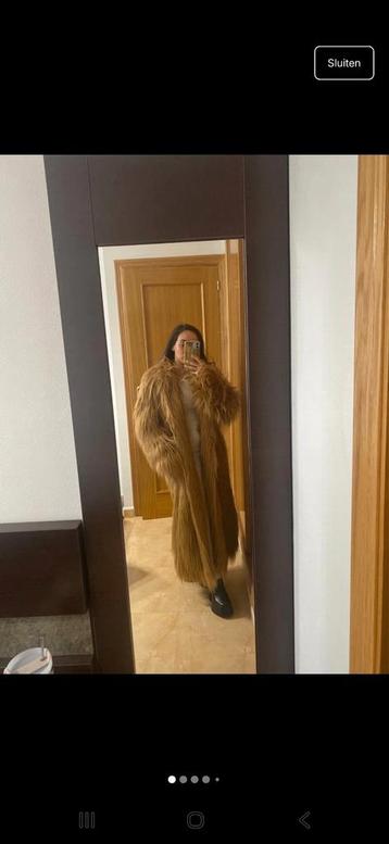 Zara NIEUW Teddyjas beschikbaar voor biedingen