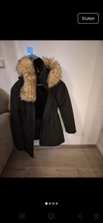 Winterjas, Kleding | Dames, Jassen | Winter, Ophalen of Verzenden, Zo goed als nieuw