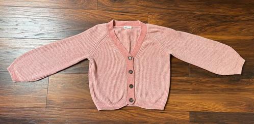 Zachte rose vest maat 158, Kinderen en Baby's, Kinderkleding | Maat 158, Gebruikt, Meisje, Trui of Vest, Ophalen of Verzenden