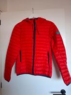 Superdry jas rood small, Ophalen of Verzenden, Zo goed als nieuw, Maat 46 (S) of kleiner, Rood