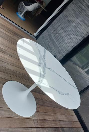 tuin tafels ceramique tulipe eero saarinen stoelen tulipe beschikbaar voor biedingen