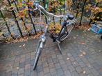 damesfiets, Gazelle Goldline, framehoogte 57 cm, Ophalen, Gebruikt, Versnellingen, 56 cm of meer