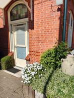 te Huur in Raalte, Huizen en Kamers, 20 tot 35 m², Overige regio's