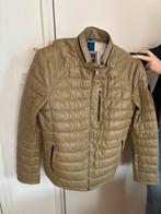Donders leren jas ( nieuw ), Kleding | Heren, Jassen | Winter, Donders, Ophalen of Verzenden, Groen, Maat 56/58 (XL)