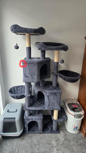 Grote krabpaal beschikbaar voor biedingen