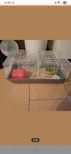 Mooie goede kooi, Dieren en Toebehoren, Ophalen