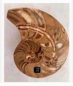 Korting Prachtige ammoniet met agaat, Marokko, 10 x 8 cm, Ophalen of Verzenden, Fossiel