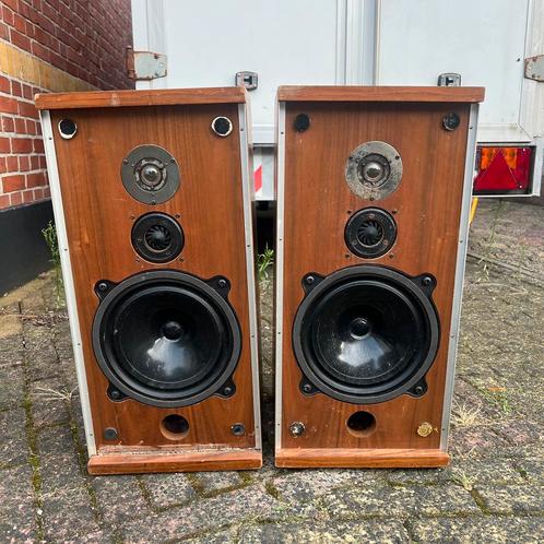 B&W DM2 Vintage Luidsprekers – Mooie Opknappers vintage, Audio, Tv en Foto, Luidsprekers, Zo goed als nieuw, Front, Rear of Stereo speakers