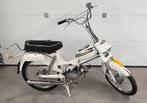 Puch VS 50 L  kikkerbek 1967 ,Oldtimer  (Tomos), Ophalen, Overige modellen, Maximaal 45 km/u, Zo goed als nieuw