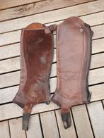 Bruin leren Ariat concord chaps S, Dieren en Toebehoren, Paardrijkleding, Ophalen of Verzenden, Gebruikt, Schoeisel