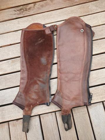Bruin leren Ariat concord chaps S beschikbaar voor biedingen