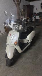 Kymco Like TT - Witte Scooter, Ophalen of Verzenden, Gebruikt, Benzine, Kymco