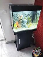 Juwel lido 120 kras vrij, Dieren en Toebehoren, Vissen | Aquaria en Toebehoren, Ophalen, Zo goed als nieuw, Leeg aquarium