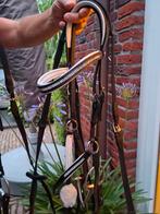 Harry Horse Hoofdstel Full Strass Compleet 2x, Ophalen of Verzenden, Nieuw