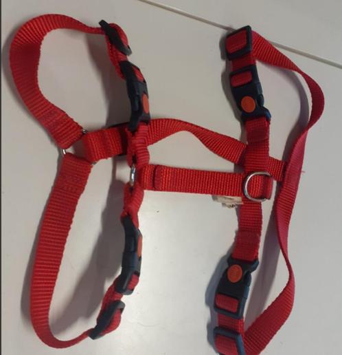 Hondentuig Abaca S, Dieren en Toebehoren, Hondenriemen, Gebruikt, Ophalen