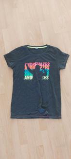 Andre hazes T-shirt NIEUW, Ophalen of Verzenden, Nieuw