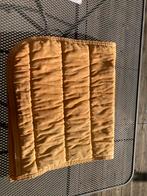 Oker geel Qhp dr pad full, Dieren en Toebehoren, Ophalen of Verzenden, Zo goed als nieuw