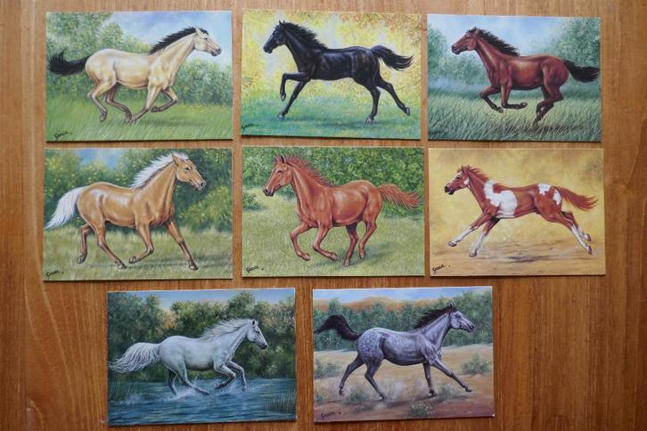 8 ansichten tekening paard / P. Gasoir / Horn, Verzamelen, Ansichtkaarten | Dieren, Ongelopen, 1980 tot heden, Paard, Ophalen of Verzenden