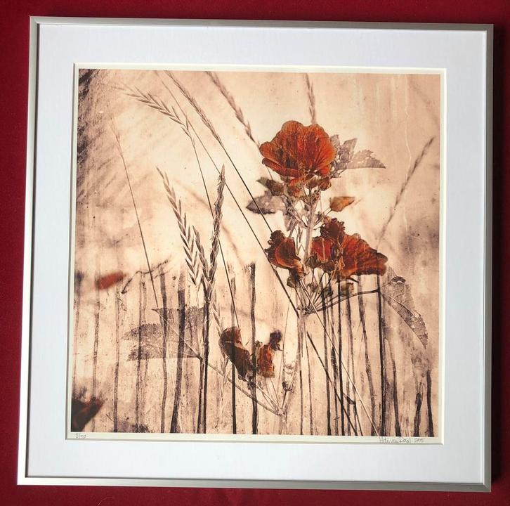 Adri van Daal bloemen, Hobby en Vrije tijd, Borduren en Borduurmachines, Zo goed als nieuw, Patroon, Ophalen of Verzenden