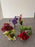 Aquarium decoratie set plantjes, Ophalen of Verzenden, Plant(en), Steen of Hout