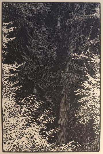 Mooie en betaalbare kunst v/h Grafiekkabinet beschikbaar voor biedingen