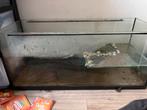 Waterschildpadden bak, Dieren en Toebehoren, Ophalen, Leeg aquarium