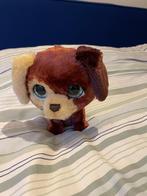 Leuke hond die af en toe blaft en uit te laten is!, Ophalen, Zo goed als nieuw, Hond