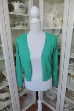 Nieuw groen vestje van Hearts and Roses, maat L, UK 14 of 42, Maat 42/44 (L), Nieuw, Ophalen of Verzenden, Groen