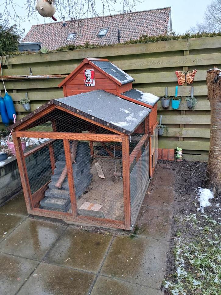 Kippenhok, Dieren en Toebehoren, Pluimvee | Toebehoren, Zo goed als nieuw, Kippenhok of Kippenren, Ophalen